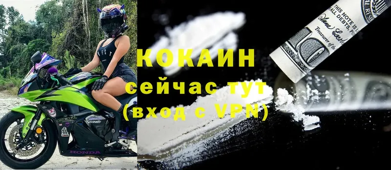 Cocaine Эквадор  дарнет шоп  Белозерск 